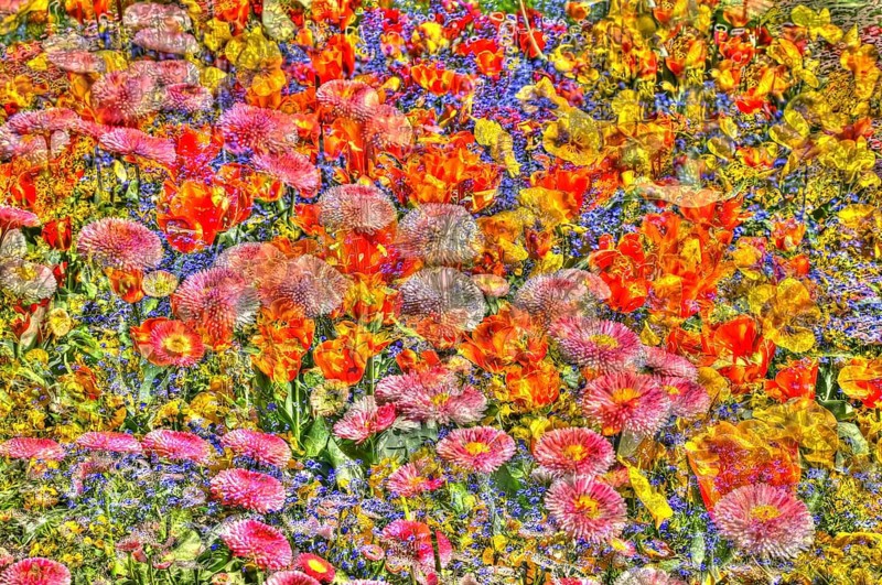 Flowers creative