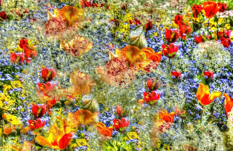 Flowers creative