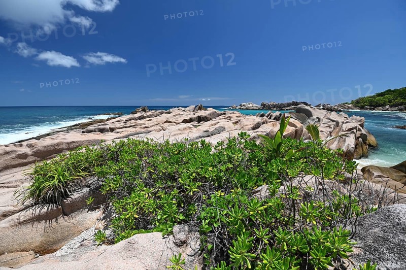 Rock Landscape