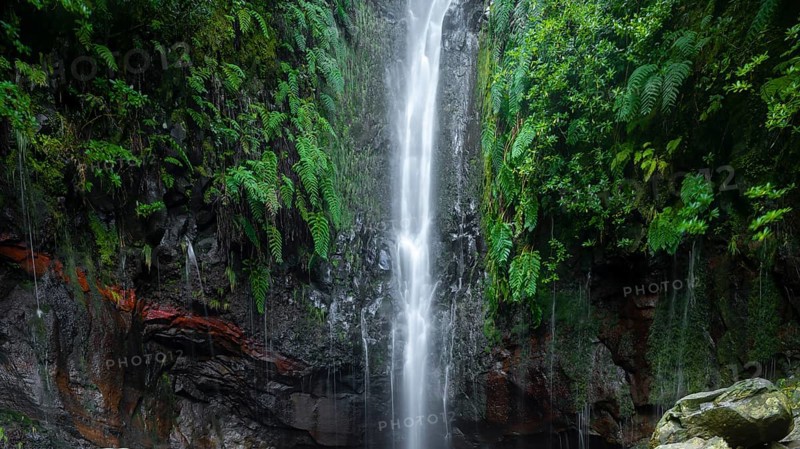 Waterfall between rock face overgrown with ferns