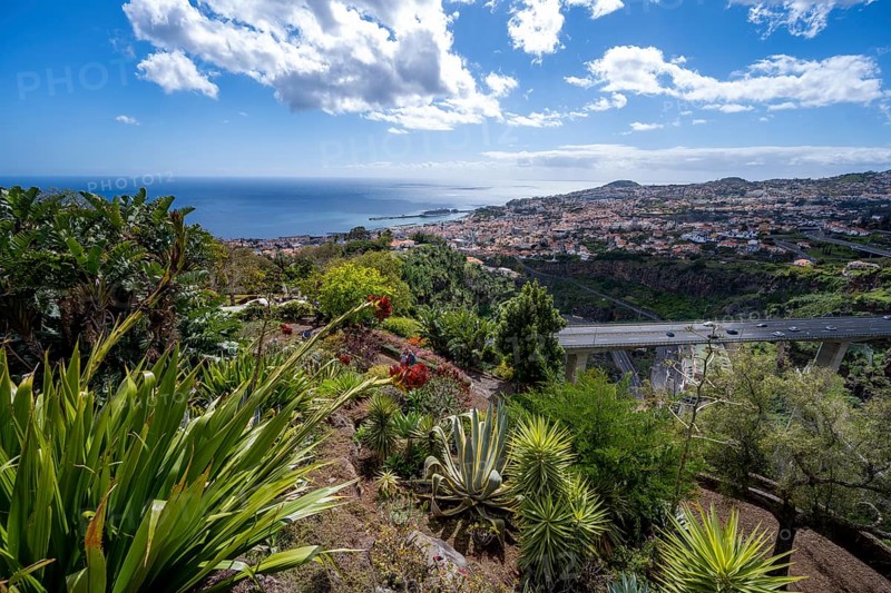 View over the city of Funchal