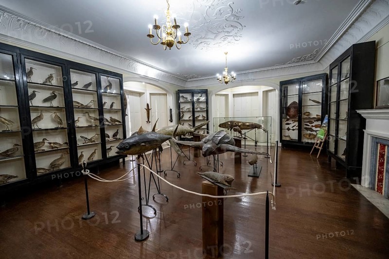 Exhibition room with stuffed animals