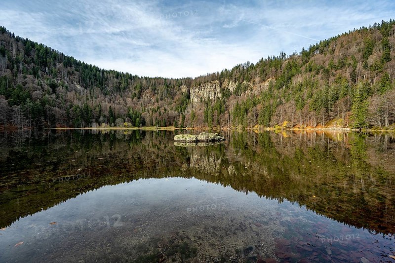 Water reflection at Feldsee in the Southern Black Forest nature park Park