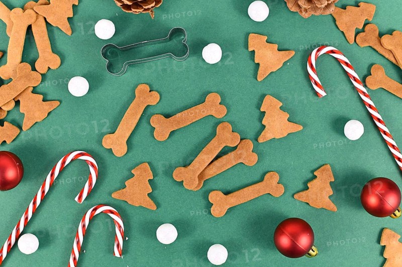 Homemade baked dog treat cookies in shape of bones and christmas tree on festive green background decorated with candy canes and tree baubles
