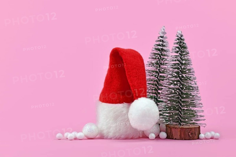 Christmas arrangement with Santa hat