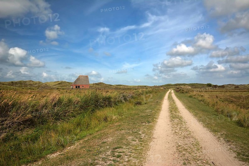 National park De Muy with sheep shelter bungalow building on island Texel in Netherlands