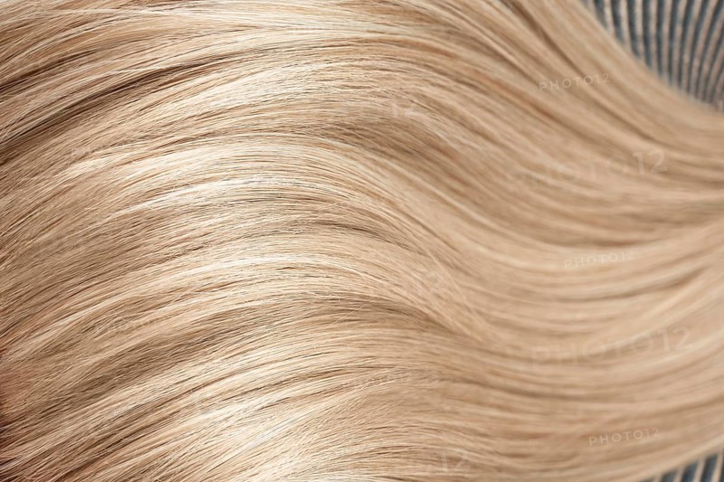 A strand of blond hair on a white background. Close-up