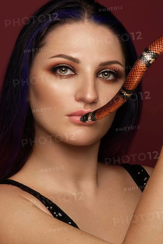 Beautiful girl brunette model with evening fashion make-up with a snake in her hands. Beauty face. Picture taken in the studio on a red background