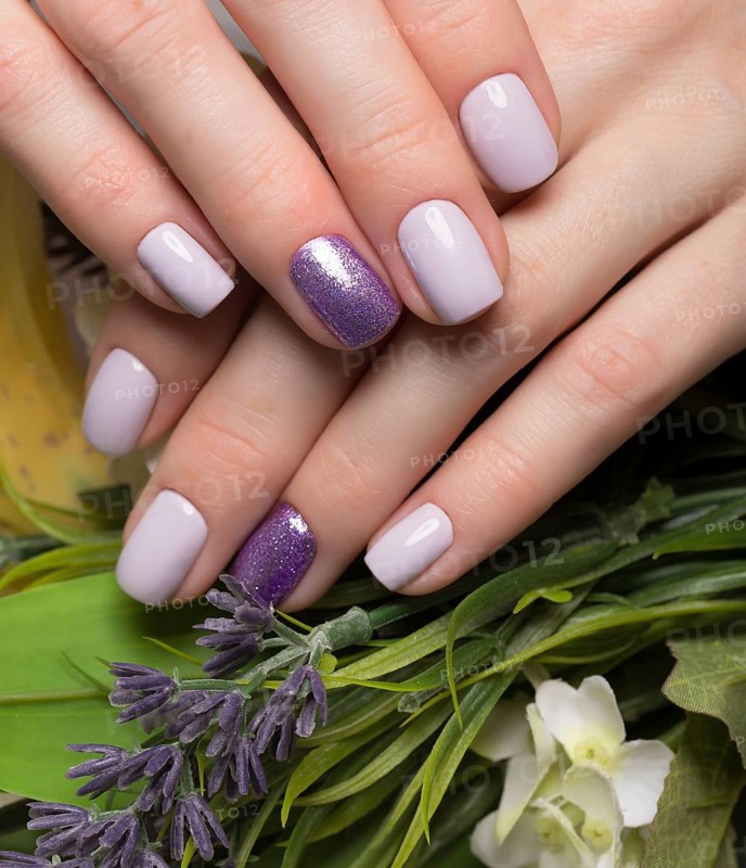 Purple neat manicure on female hands on a background of flowers. Nail design