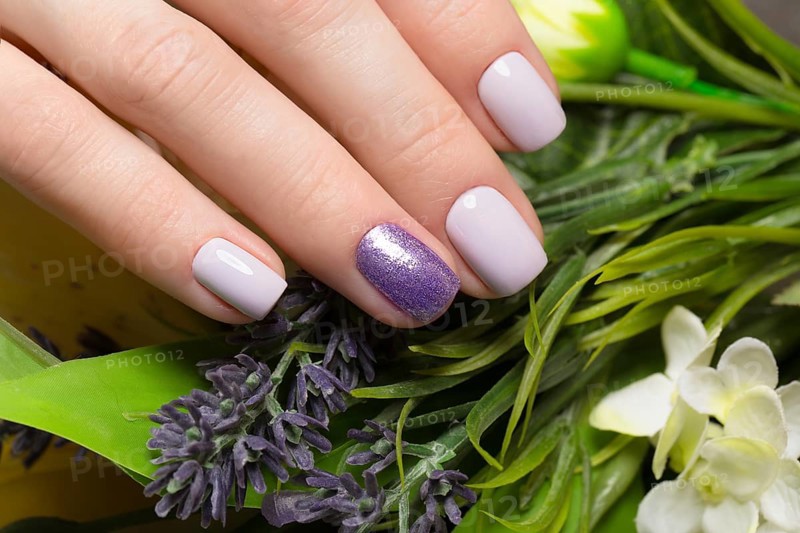 Purple neat manicure on female hands on a background of flowers. Nail design