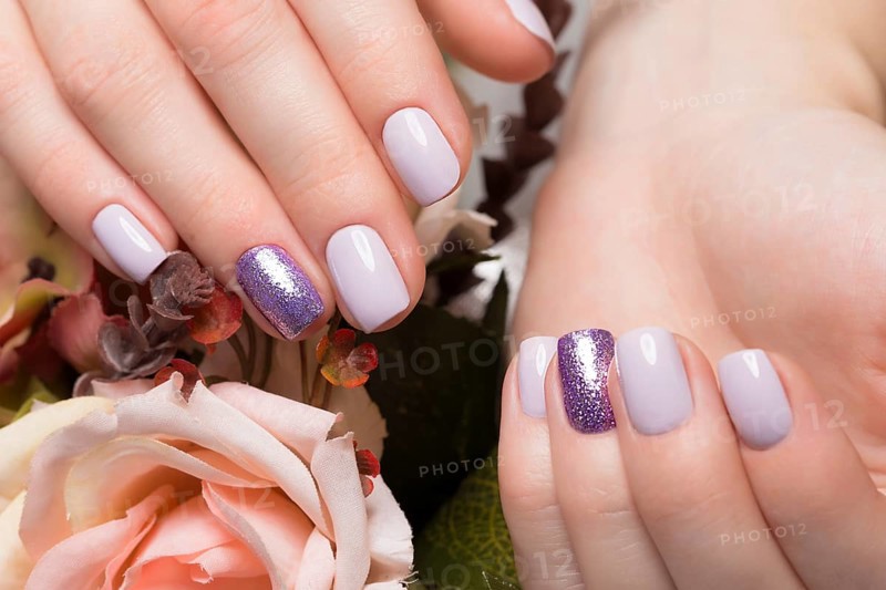 Purple neat manicure on female hands on a background of flowers. Nail design