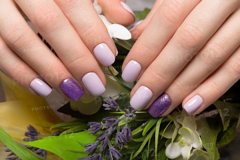 Purple neat manicure on female hands on a background of flowers. Nail design