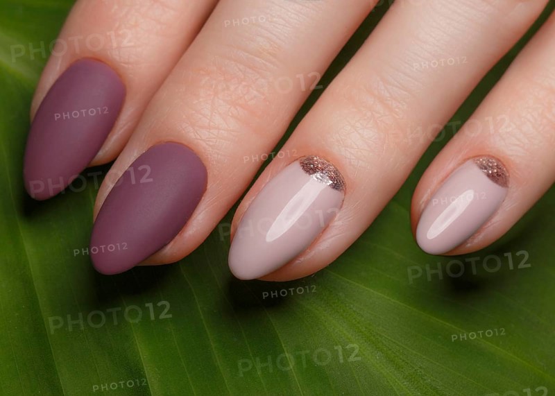 Tender neat manicure on female hands on a background of green leaves. Nail design