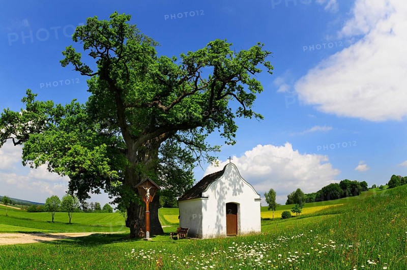 Field chapel near Eppishausen
