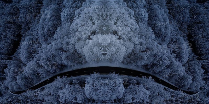 Composing a drone shot of a forest in winter
