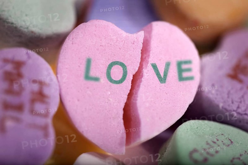 Love Lost