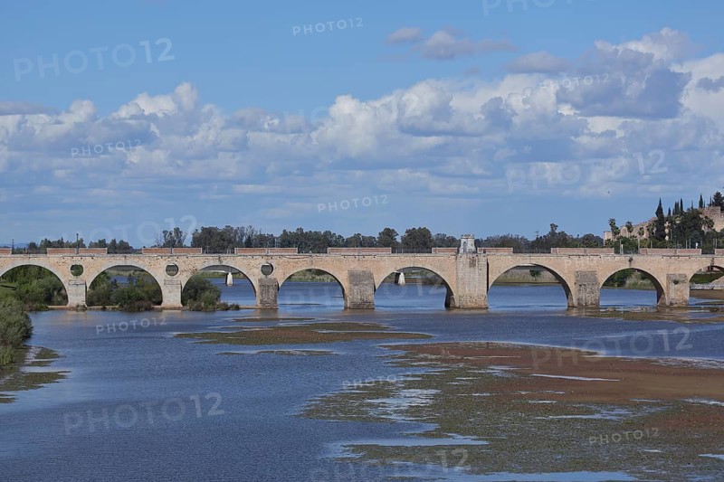 Historic stone arch bridge Puente de Palmas built 15th century over the river Rio Guadiana