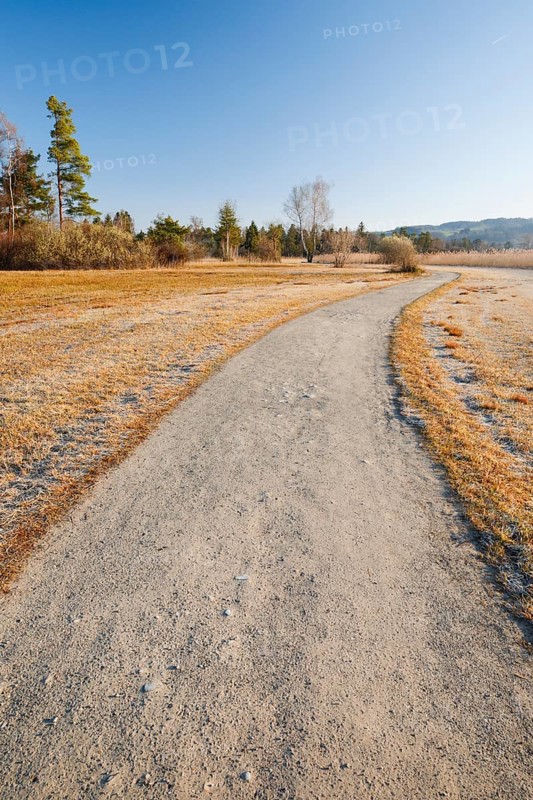 First rays of sunlight illuminate the field path in the nature reserve along Lake Pfaeffikon in the Canton of Zurich
