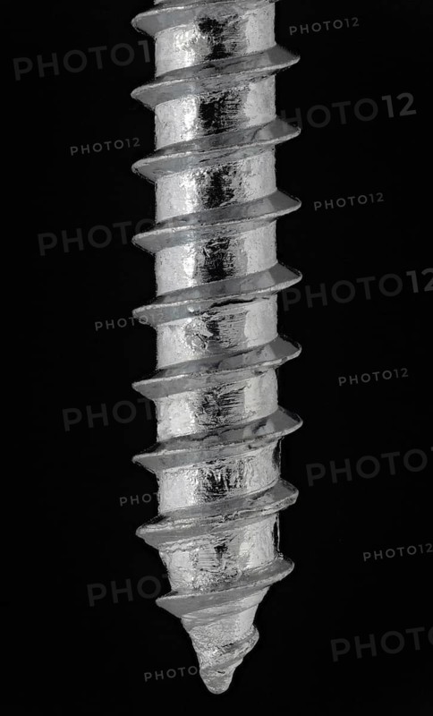 Wood Screw