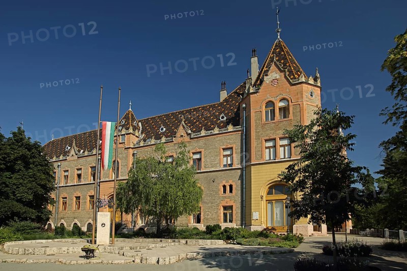 Art Nouveau Town Hall with Hungarian National Flag