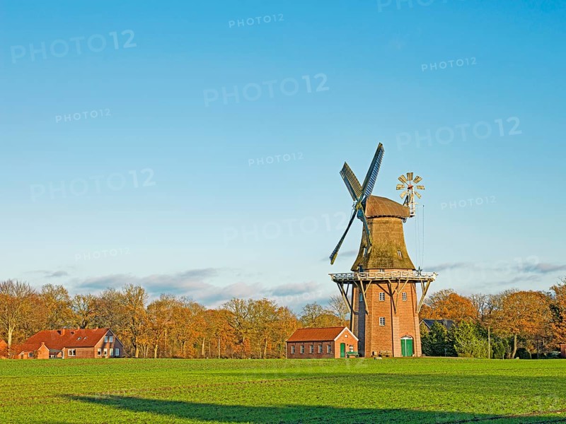 Holtland Mill