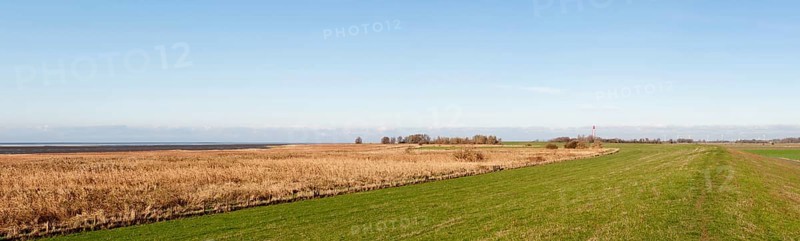 Marsh landscape on the dyke near the mouth of the Ems
