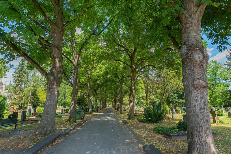 Prague cemetery