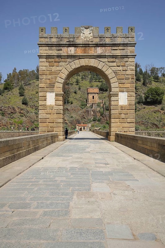 Archway of the Puente Romano and view of Torre del Oro