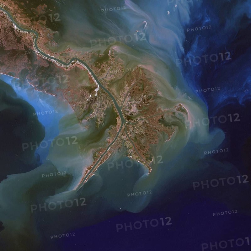 Phytoplankton Bloom