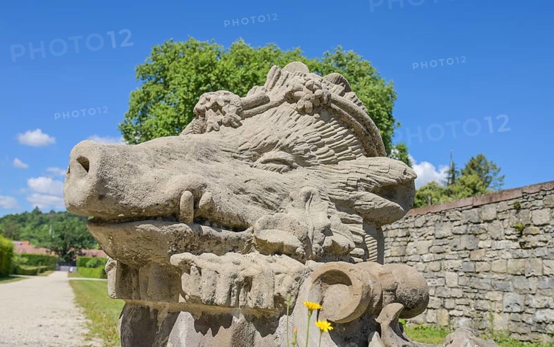Wild boar's head on the south steps