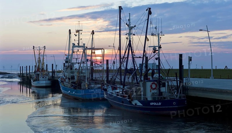 Wremertief harbour with crab cutters and the Kleiner Preusse lighthouse