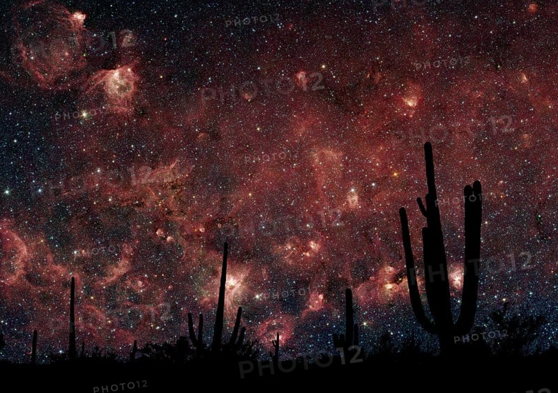Milkyway Desert