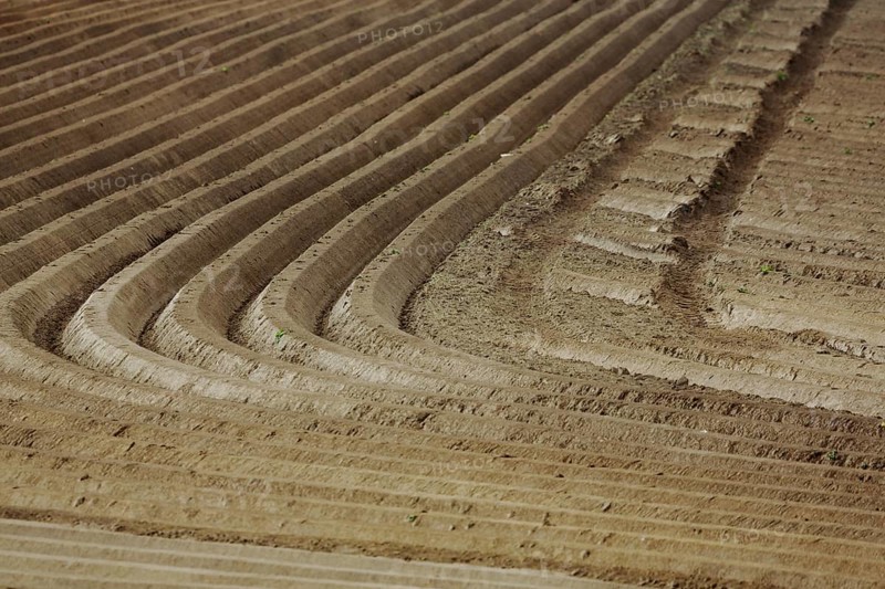 View of brown field with curved field crumbs
