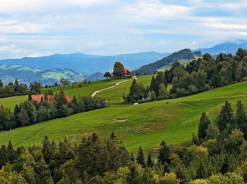 Alpine pasture and wooded slopes in the mountain landscape of the Emmental Alps in the Entlebuch UNESCO Biosphere Reserve