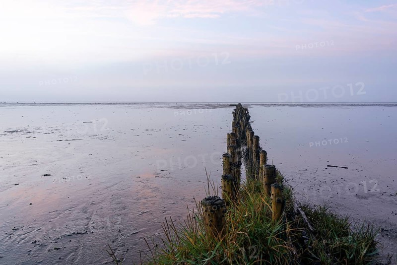 Breakwater at sunrise