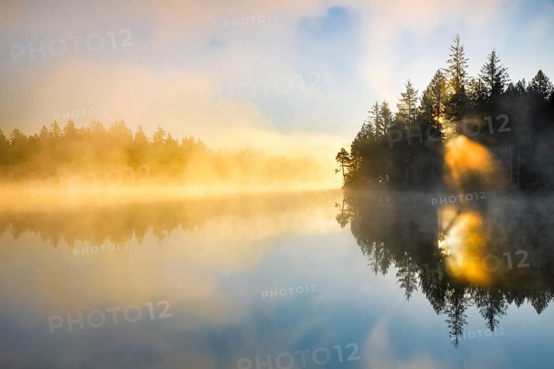 Backlit sunrise with wafts of mist over the mirror-smooth moorland lake Etang de la Gruere in the canton of Jura