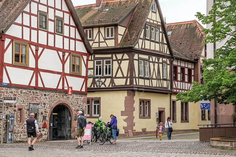 Half-timbered houses