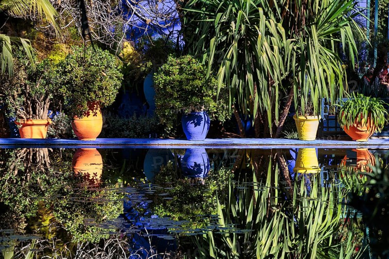 Different coloured flower pots in front of a blue house in the botanical garden Jardin Majorelle