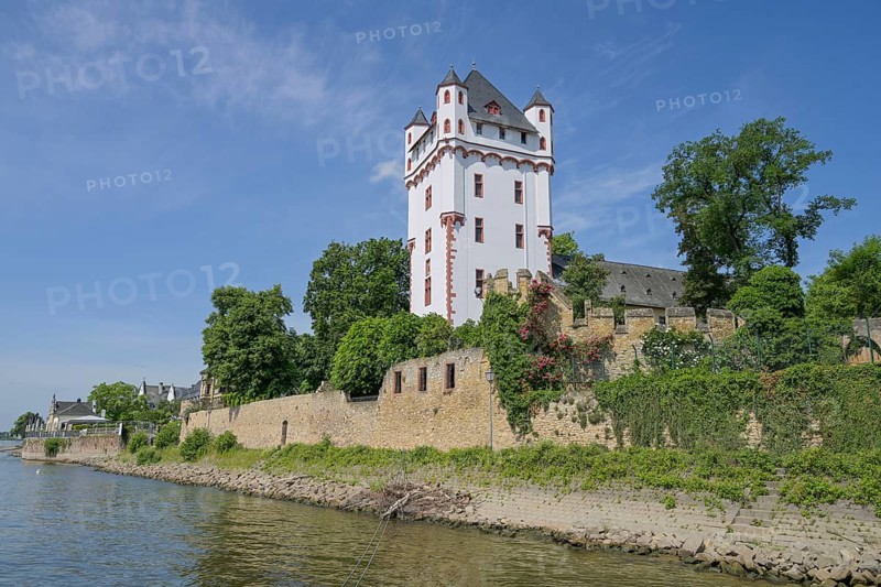 Rhine