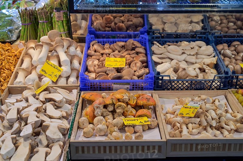 Edible mushrooms