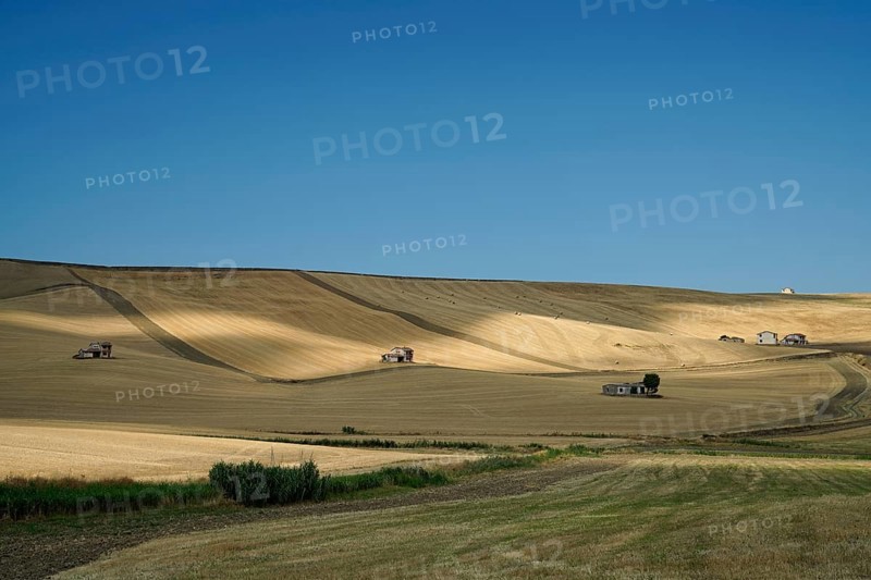 Landscape around Irsina