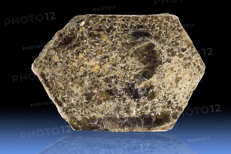 Mica variety Phlogopite