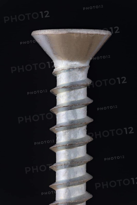 Close-Up of a Wood Screw