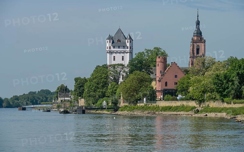 Rhine