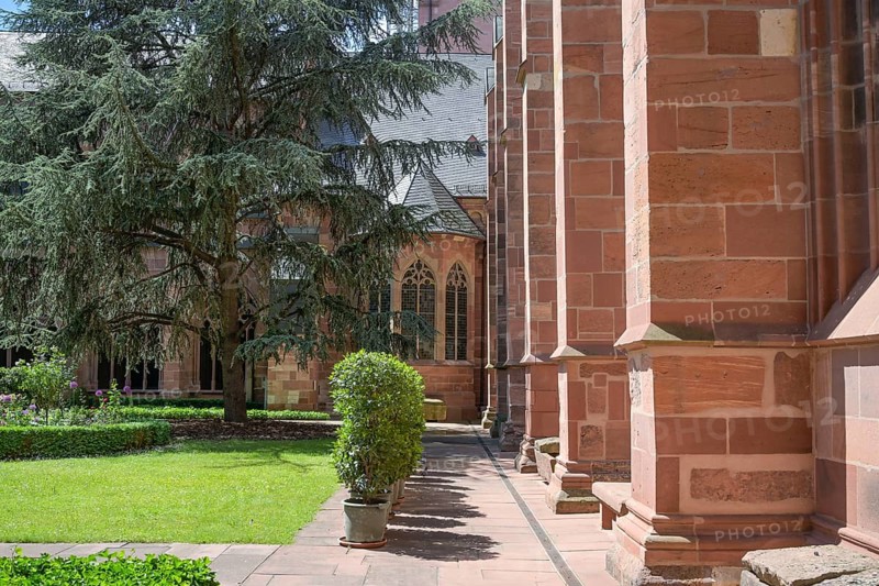 Cathedral cemetery