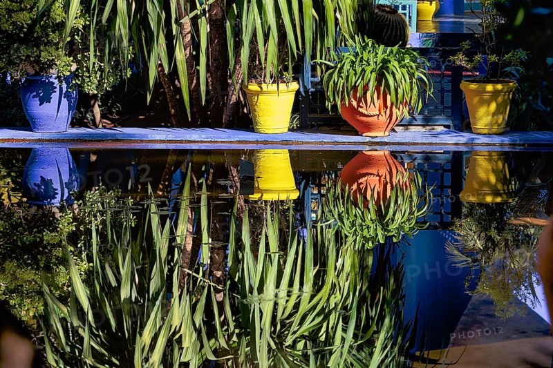 Different coloured flower pots in front of a blue house in the botanical garden Jardin Majorelle