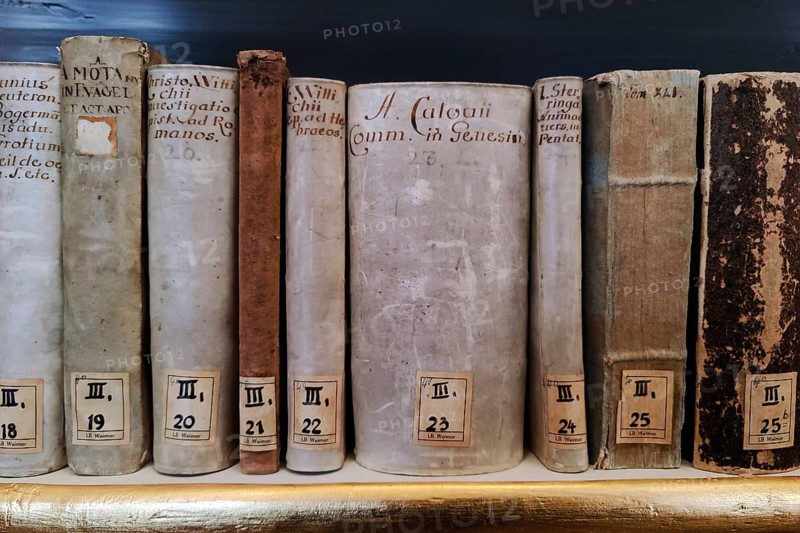 Old books in the Duchess Anna Amalia Library