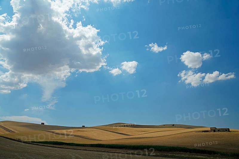 Landscape around Irsina