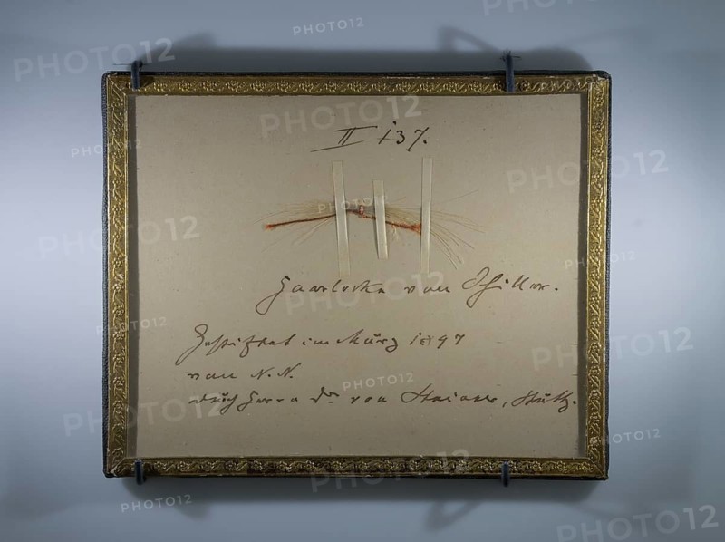 Lock of hair by Friedrich Schiller