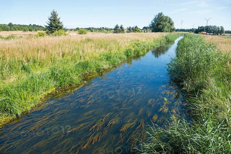 River Blotnica